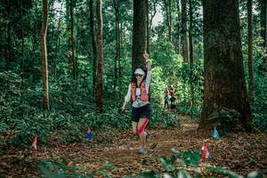 BIB: 
                            <button type="button" onclick="openModal(26135059)" class="btn btn-primary btn-sm float-right btn-popup" data-toggle="modal" data-target=".modal-high-quality">
                        <i class="fas fa-shopping-cart"></i> Add to Cart
                    </button>
                                            <button type="button" onclick="isThisMe(26135059, true)" class="btn btn-success btn-sm float-right btn-popup btn-isme hidden" data-toggle="tooltip" data-placement="bottom" title="นี่คือรูปของคุณใช่ไหม คลิกที่นี่เพื่อเอาเข้าอัลบั้ม">
                        <i class="fas fa-plus"></i> Add to album
                    </button>
                    <button type="button" onclick="isThisMe(26135059, false)" class="btn btn-warning btn-sm float-right btn-popup btn-isnotme hidden">
                        <i class="fas fa-ban"></i> Remove from album
                    </button>